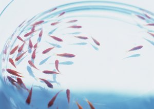 方案常见问题解答合集